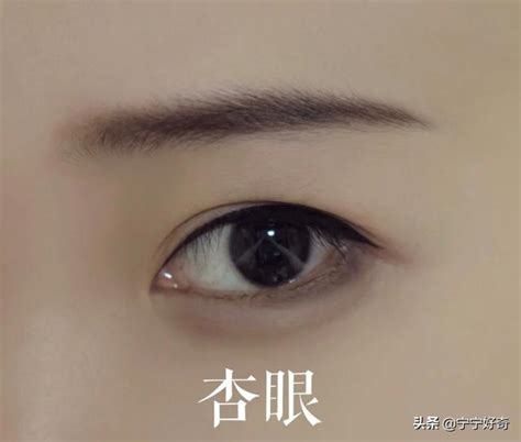 丹鳳眼狐狸眼|眼型:眼型，即眼睛的類型、分類，主要有桃花眼，瑞。